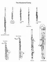 Woodwind Flute Instrument Family Instruments Music sketch template