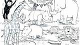Animals Coloring Colouring Drawing Pages Animal Savanna African Zoo Realistic Previous Books Paintingvalley sketch template
