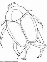 Beetle Japanese Coloring sketch template