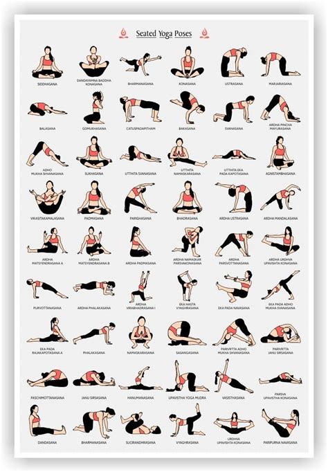 lab   yoga poster seated yoga asanas posture poses