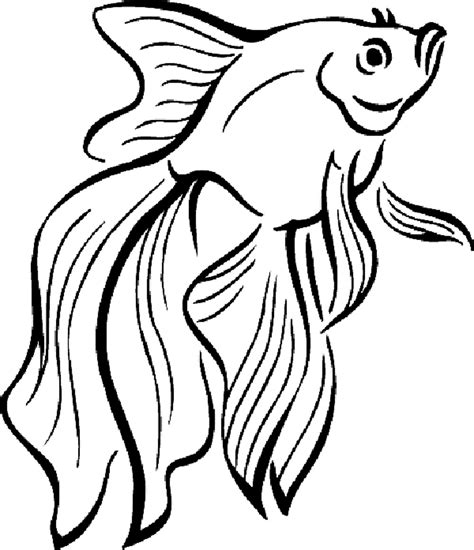 cute fish outline    clipartmag