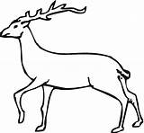 Deer Coloring Pages Buck Animals Red Clip Baby Print sketch template