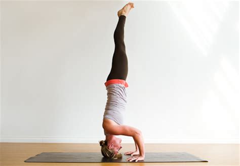 basic yoga poses  healthy glowing skin yoga exercises medicalhealthtipscom