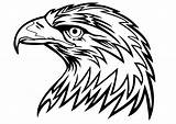 Aguila Eagle Aguilas águila Logos Harley sketch template