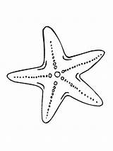 Starfish Printable Invertebrates Postures Resembling Arms sketch template