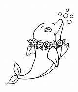 Lumba Mewarnai Golfinhos Sketsa Delfines Golfinho Murid Tk Terupdate Delfin Paud Anak Diwarnai Bebes Imagem sketch template