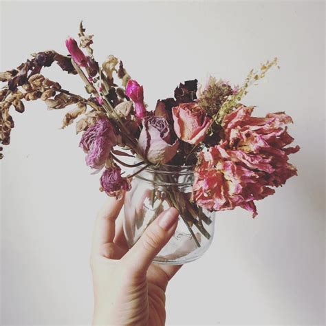 dried flowers on tumblr