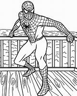Aranha Colorir Spiderman Ausmalbilder Anagiovanna sketch template