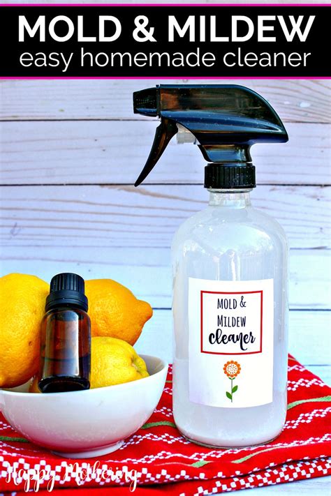 Easy Homemade Mold And Mildew Cleaner Happy Mothering