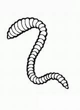 Earthworm Lombriz Colorear Worm sketch template