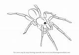 Spider Draw Woodlouse Drawing Step Arachnids Animals Tutorials Drawingtutorials101 sketch template