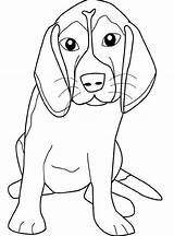 Beagle Puppy sketch template