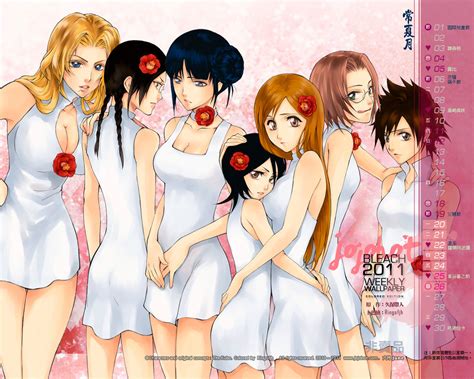 bleach girls bleach anime wallpaper 18029303 fanpop