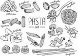 Pasta Italian Drawings Line Food Vector Hand sketch template
