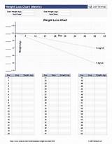 Weight Loss Chart Pdf Printable Choose Board Diet Vertex42 sketch template