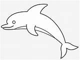 Dolphin Clipart Coloring Bottlenose Baby Outline Background Pngkit sketch template