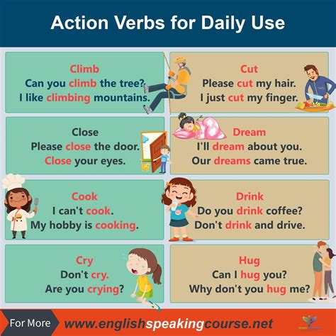 action verbs meaning  examples imagesee