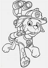 Marshall Coloring Truck Fire Patrol Paw Beispielbilder Kinder Malvorlagen Färben Divyajanani sketch template
