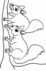 Squirrel Coloring Pages Eekhoorn Cartoon Print Clipart Squirrels Cliparts Kleurplaten Kleurplaat Flying Kids Color Animated Colouring Library Clip Fun Categories sketch template