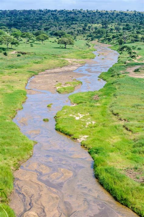 view   river   tarangire park tanzania stock photo image