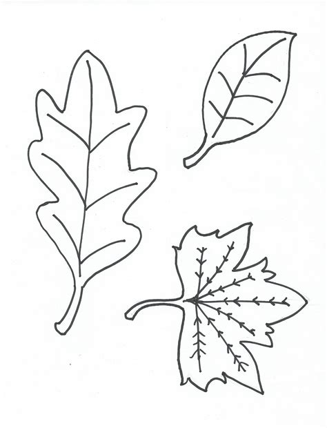 coloring pages  leaves  colour