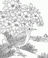 Secreto Natureza Meadowlark Prairie Purplekittyyarns Burgess Paisagens Escolha Floresta sketch template