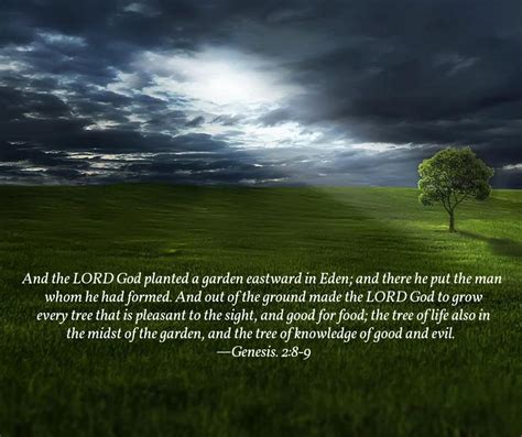 trees   garden   lord god planted  garden eastward