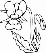 Flori Coloriage Fleur Orchidee Colorat Desene Cu Violette Colorir Orchid Dessin Imprimer Planse Orquidea Coloriages Copii Ludinet Ranunculus Trafic sketch template