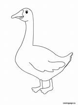 Coloring Pages Goose Goosebumps Slappy Animal Getcolorings Farm Colouring Choose Board sketch template