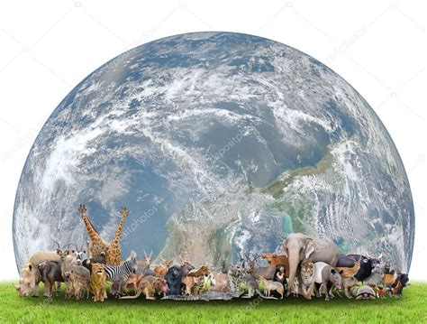 animal   world  planet earth stock photo  canankkml