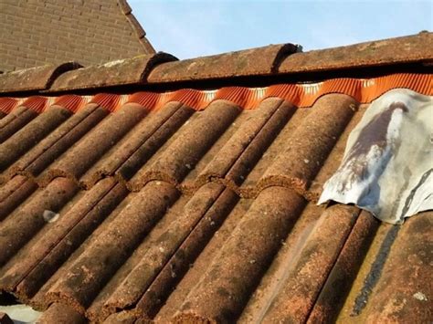dakpannen dakwerken cadema dakwerken zijn expert  dakbedekking