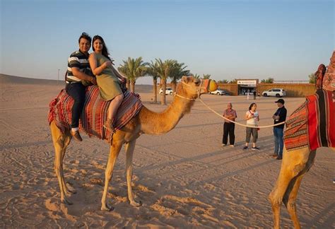 standard dubai desert safari trip ways
