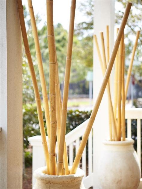 bamboo design ideas pictures remodel  decor bamboo decor bamboo