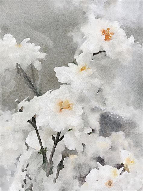 dreamy flowers floral painting modern contemporary floral white