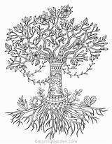 Coloring Tree Life Pages Olive Adult Drawing Printable Simple Coloringgarden Pecan Adults Color Mandala Drawings Celtic Template Book Getcolorings Print sketch template
