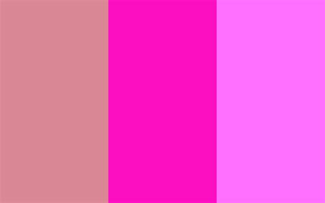 blush pink wallpaper wallpapersafaricom