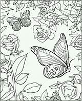 Coloring Butterfly Flower Pages Adult sketch template