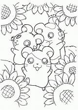 Hamster Coloring Pages Hamtaro Hamsters Sunflower Cute Kawaii Kids Printable Color Print Series Colouring Picgifs Bestcoloringpagesforkids Anime Cartoon Books Surrounded sketch template