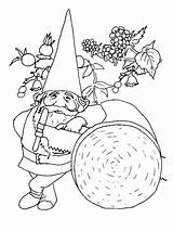 Coloring Pages Gnomes Gnome Printable Kids Color Wonder Fairy sketch template