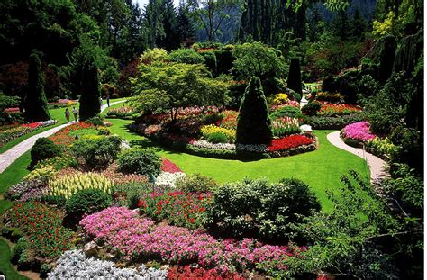 designing  garden  landscape design principles