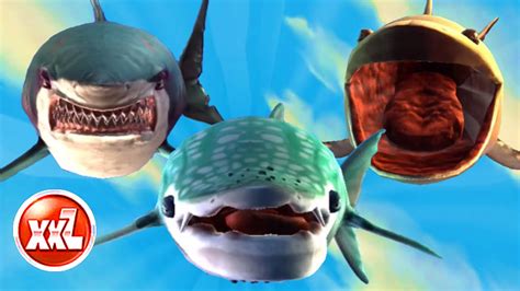 xxl sharks unlocked hungry shark world  shark gameplay
