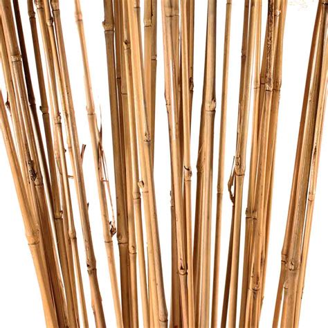 decorative branches bamboo sticks