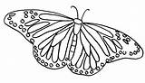Butterfly Coloring Monarch Pages sketch template