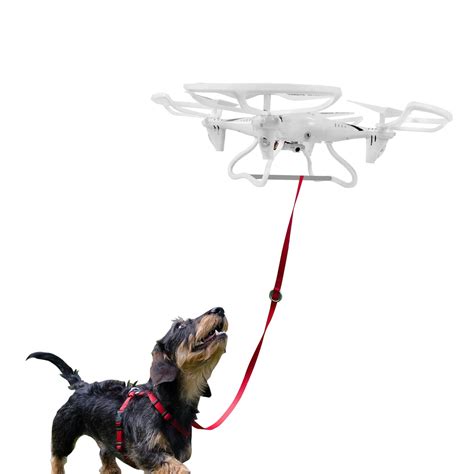dog walker drone popsugar middle east pets