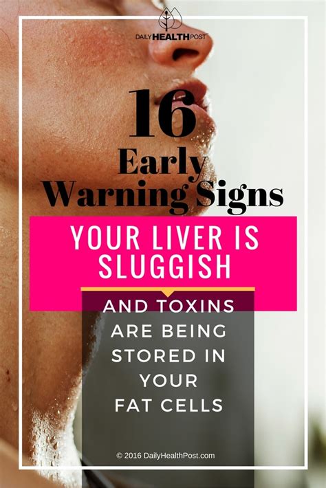 16 early warning signs of liver trouble and 3 herbs to fix it