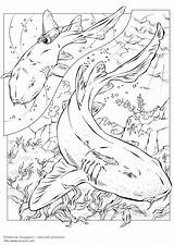 Haaien Kleurplaat sketch template