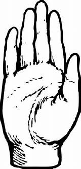 Hand Palm Outline Clipart Clip sketch template