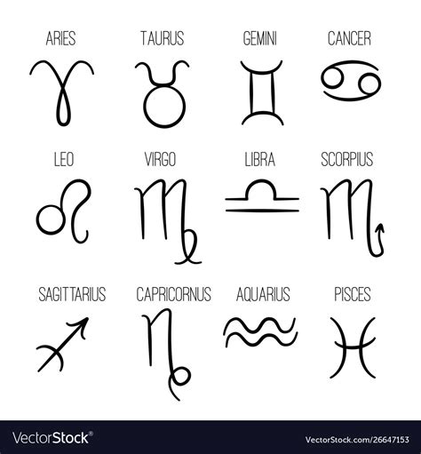 zodiac signs astrological hand drawn horoscope vector image
