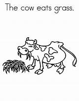 Cow Coloring Grass Eats Pages sketch template