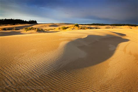 oregon dunes national recreation area alan majchrowicz photography